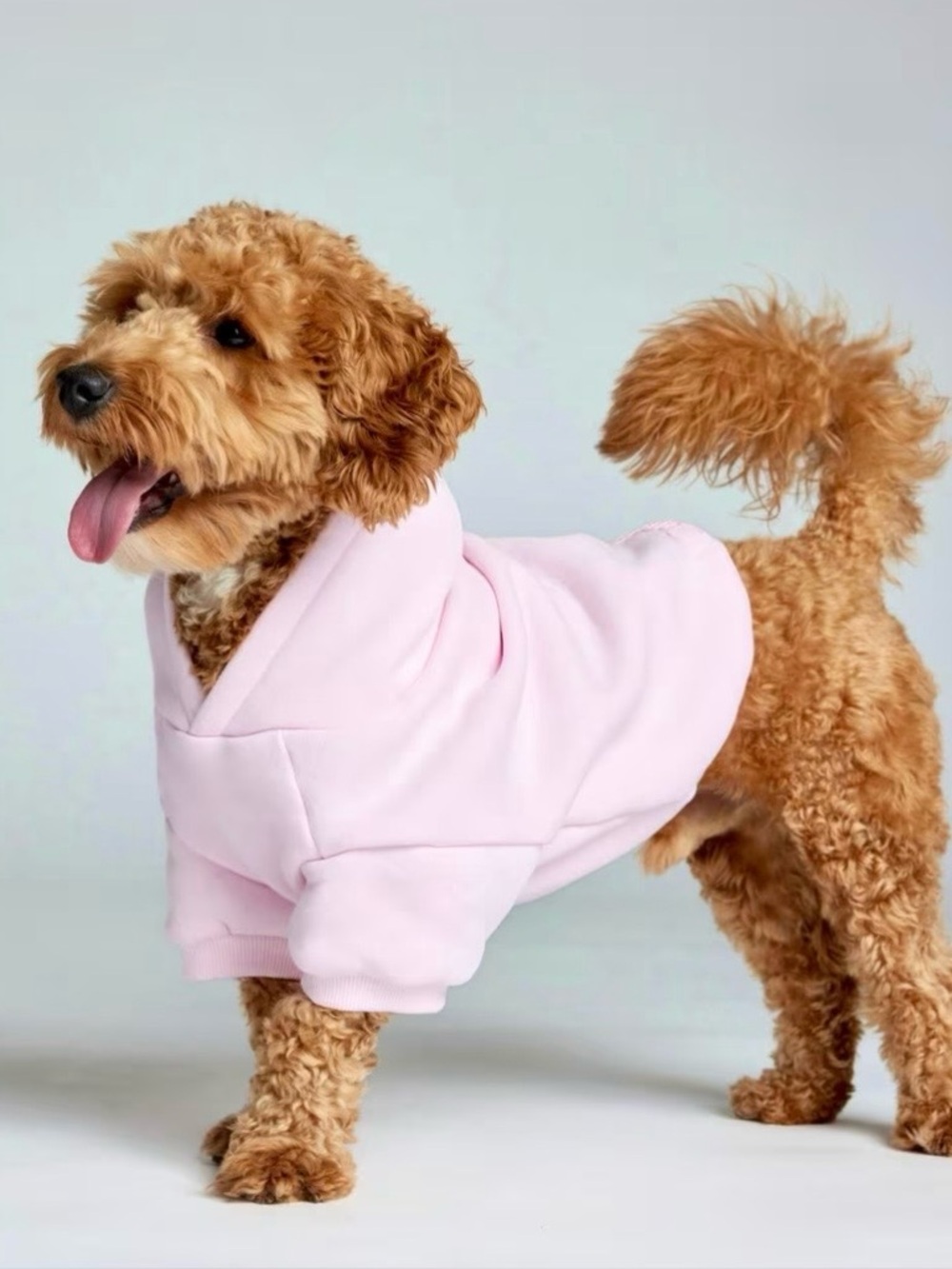 Comfrt Minimalist Paw Hoodie Limited Edition Pink NIP Sz Small Ret $50